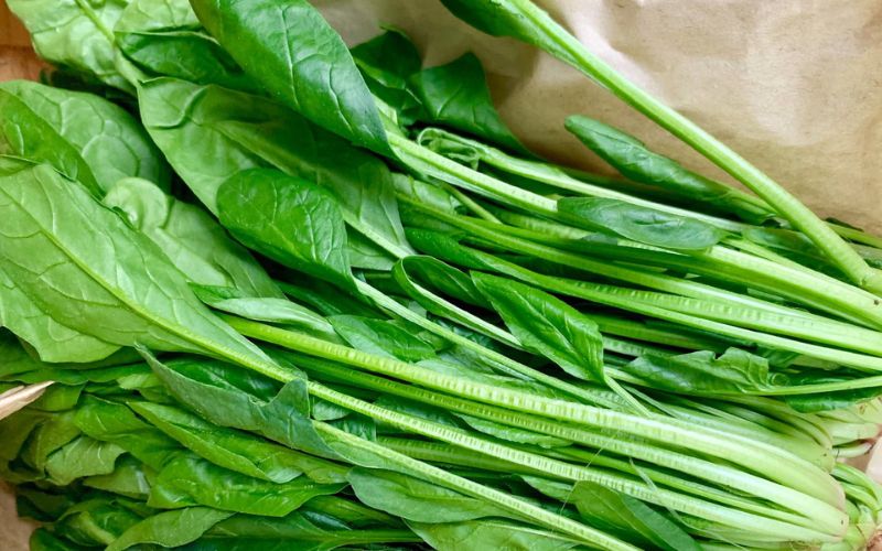 thực đơn ăn dặm cho bé 8 tháng kiểu nhật