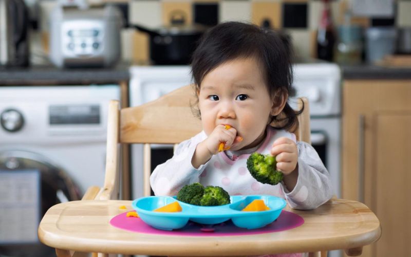 phân biệt ăn dặm kiểu nhật và truyền thống
