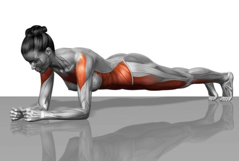 lợi ích của plank mỗi ngày