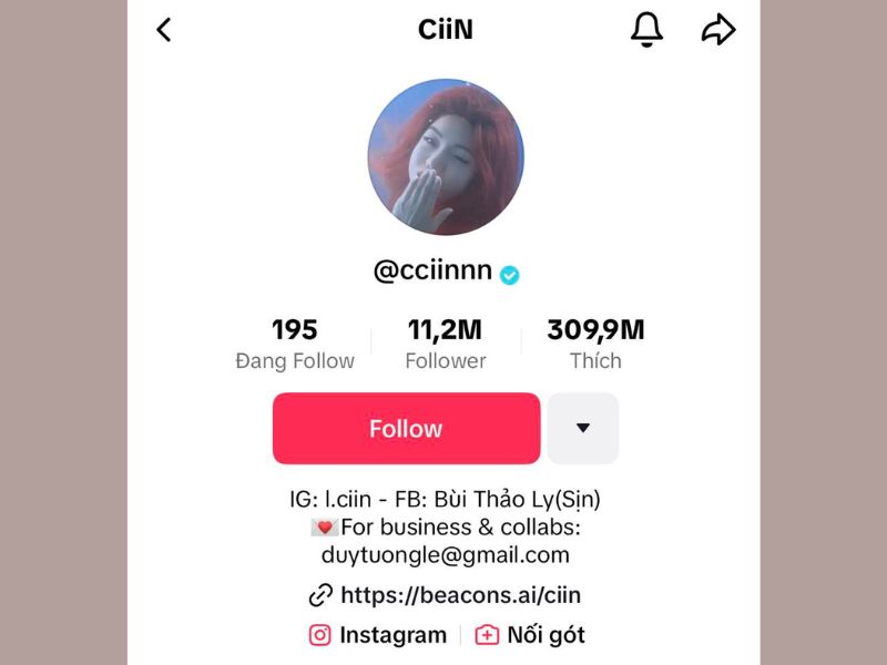 tiktoker ciin